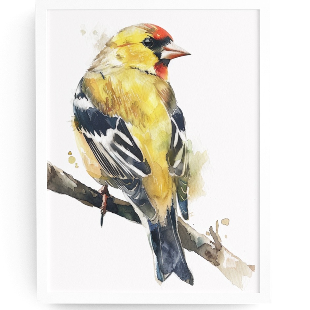 Watercolor American Goldfinch Bird Portrait Wall Art Illustration Print Unframed